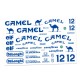 cartela-adesivos-bolha-camel