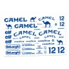 cartela-adesivos-bolha-camel